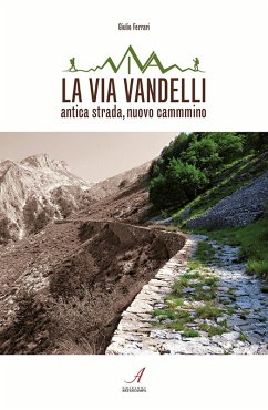 Cover La Via Vandelli. Antica strada, nuovo cammino