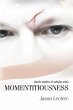 Momentitiousness - Bild 1