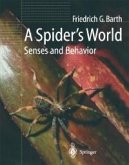 A Spider's World (eBook, PDF)