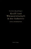 Kraft- und Wärmewirtschaft in der Industrie (eBook, PDF)