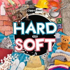 Hard and Soft - Duhig, Holly