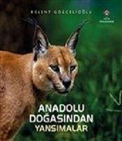 Anadolu Dogasindan Yansimalar - Gözcelioglu, Bülent