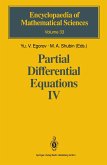 Partial Differential Equations IV (eBook, PDF)