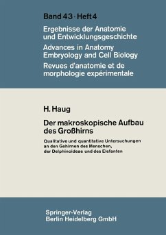 Cover Der makroskopische Aufbau des Großhirns (eBook, PDF)
