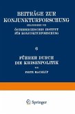 Führer Durch Die Krisenpolitik (eBook, PDF)