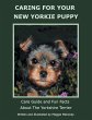 Caring for Your New Yorkie Puppy - Bild 1
