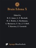 Brain Edema X (eBook, PDF)