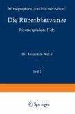 Die Rübenblattwanze (eBook, PDF)