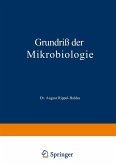 Grundriß der Mikrobiologie (eBook, PDF)