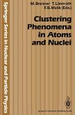 Clustering Phenomena in Atoms and Nuclei (eBook, PDF)