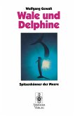 Wale und Delphine (eBook, PDF)