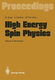 High Energy Spin Physics (eBook, PDF)