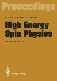 Cover High Energy Spin Physics (eBook, PDF)