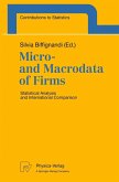 Micro- and Macrodata of Firms (eBook, PDF)
