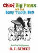 Chief Big Paws and the Bony Tooth Bird - Bild 1