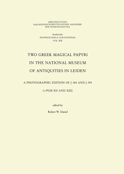 Cover Two Greek Magical Papyri in the National Museum of Antiquities in Leiden (eBook, PDF)
