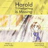 Harold the Hedgehog is Missing - Bild 1
