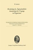 Morphologische Äquivalentbilder immunologischer Vorgänge im Organismus (eBook, PDF)