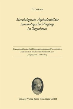 Morphologische Äquivalentbilder immunologischer Vorgänge im Organismus (eBook, PDF) - Letterer, Erich