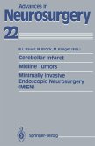Cerebellar Infarct. Midline Tumors. Minimally Invasive Endoscopic Neurosurgery (MIEN) (eBook, PDF)