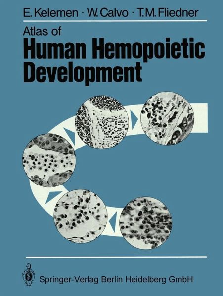 Atlas of Human Hemopoietic Development (eBook, PDF)