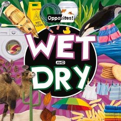 Wet and Dry - Dufresne, Emilie