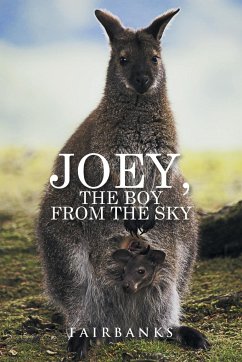 Joey, the Boy from the Sky - Fairbanks