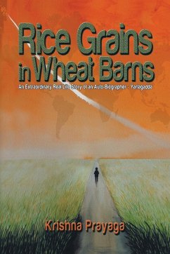 Rice Grains in Wheat Barns Cover Rice Grains in Wheat Barns