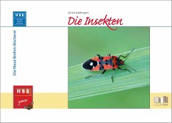 Die Insekten - Kattmann, Ulrich