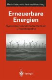 Erneuerbare Energien (eBook, PDF)
