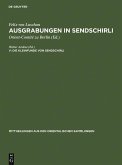 Die Kleinfunde von Sendschirli (eBook, PDF)