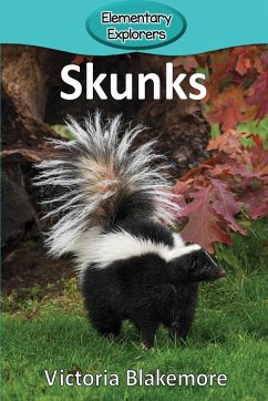 Skunks - Blakemore, Victoria