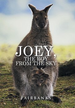 Joey, the Boy from the Sky - Fairbanks