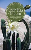 Cactus Bloom