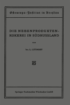 Die Nebenproduktenkokerei in Südrussland (eBook, PDF) - Litinsky, L.