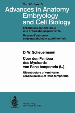 Über den Feinbau des Myocards von Rana temporaria (L.) / Ultrastructure of ventricular cardiac muscle of Rana temporaria (eBook, PDF) - Scheuermann, D. W.