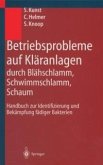 Betriebsprobleme auf Kläranlagen durch Blähschlamm, Schwimmschlamm, Schaum (eBook, PDF)