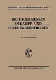 Richtiges Messen in Dampf- und Feuerungsbetrieben (eBook, PDF)