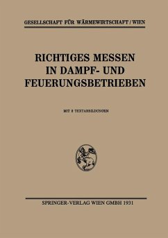 Richtiges Messen in Dampf- und Feuerungsbetrieben (eBook, PDF) - Gesellschaft Für Wärmewirtschaft/Wien
