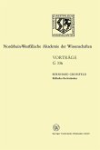 Bildhaftes Rechtsdenken (eBook, PDF)