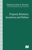 Property Relations, Incentives and Welfare (eBook, PDF)