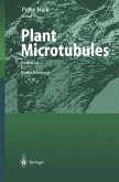 Plant Microtubules (eBook, PDF)