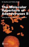 The Molecular Repertoire of Adenoviruses II (eBook, PDF)