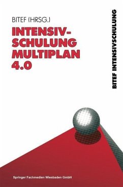 Intensivschulung Multiplan 4.0 (eBook, PDF) - Peters, Werner