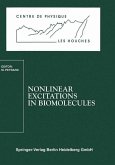 Nonlinear Excitations in Biomolecules (eBook, PDF)