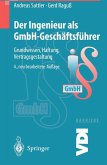 Der Ingenieur als GmbH-Geschäftsführer (eBook, PDF)