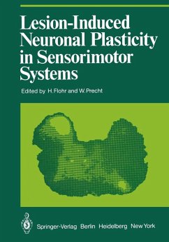 Lesion-Induced Neuronal Plasticity in Sensorimotor Systems (eBook, PDF)