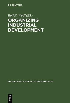 Organizing Industrial Development (eBook, PDF)