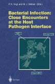 Bacterial Infection: Close Encounters at the Host Pathogen Interface (eBook, PDF)