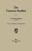 Die Gasteiner Kurfibel (eBook, PDF)